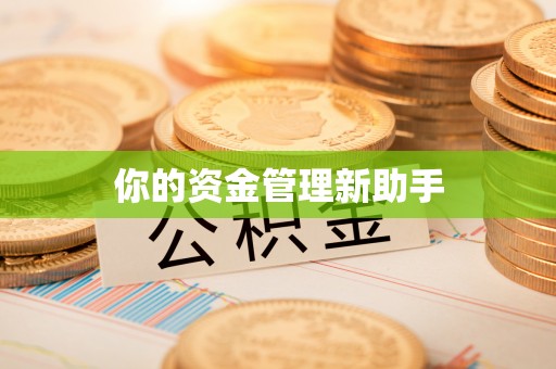 西青你的资金管理新助手