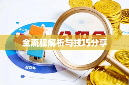 西青全流程解析与技巧分享