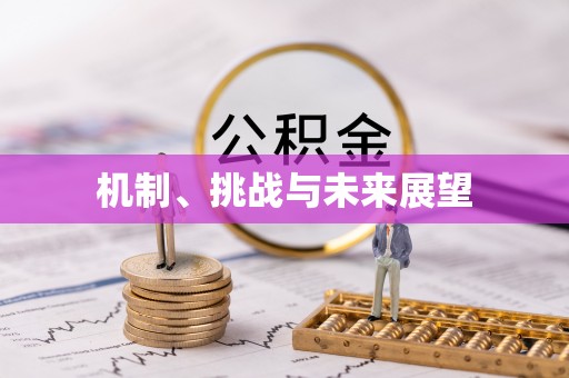 西青机制、挑战与未来展望