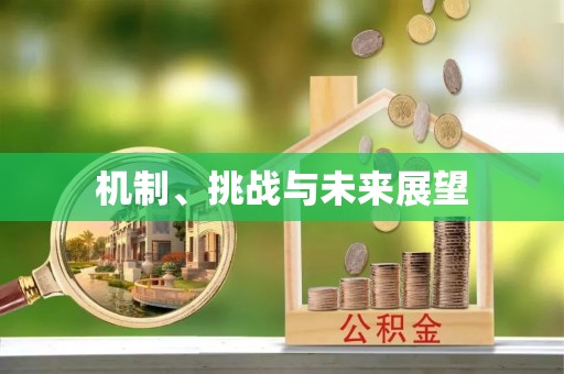 西青机制、挑战与未来展望
